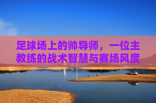 足球场上的帅导师,一位主教练的战术智慧与赛场风度