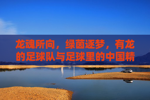 龙魂所向,绿茵逐梦,有龙的足球队与足球里的中国精神,龙魂所向,绿茵逐梦,有龙的足球队与中国足球精神