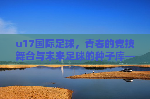 u17国际足球,青春的竞技舞台与未来足球的种子库——解码少年足球的全球对话与成长密码