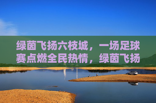 绿茵飞扬六枝城,一场足球赛点燃全民热情,绿茵飞扬六枝城,一场足球赛点燃全民热情