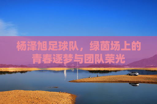 杨泽旭足球队,绿茵场上的青春逐梦与团队荣光