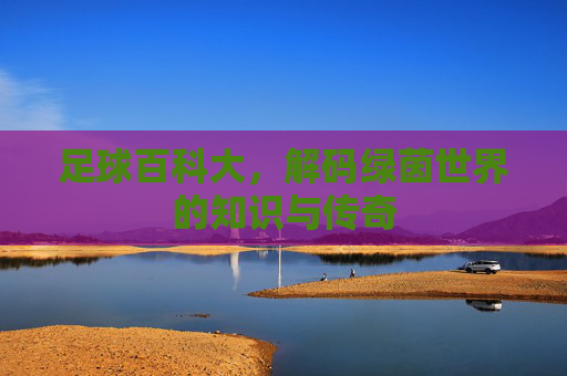 足球百科大,解码绿茵世界的知识与传奇