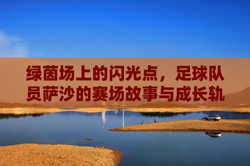 绿茵场上的闪光点,足球队员萨沙的赛场故事与成长轨迹