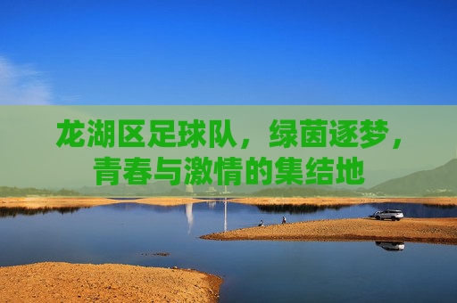 龙湖区足球队，绿茵逐梦，青春与激情的集结地
