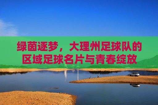 绿茵逐梦,大理州足球队的区域足球名片与青春绽放