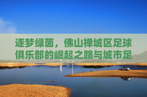逐梦绿茵,佛山禅城区足球俱乐部的崛起之路与城市足球文化传承