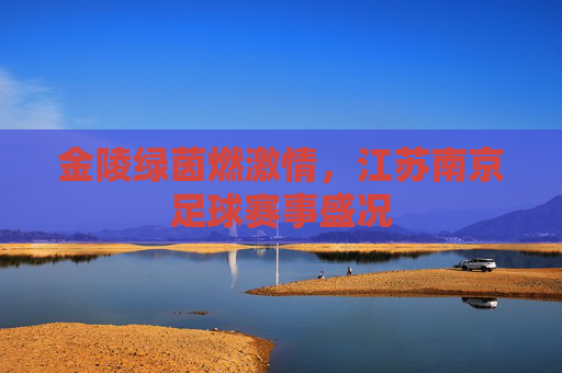 金陵绿茵燃激情，江苏南京足球赛事盛况