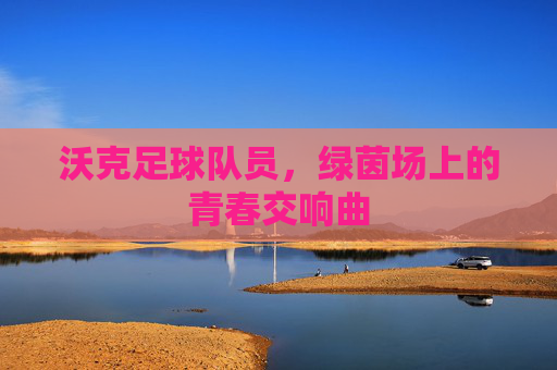 沃克足球队员，绿茵场上的青春交响曲