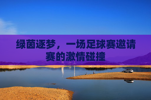 绿茵逐梦，一场足球赛邀请赛的激情碰撞