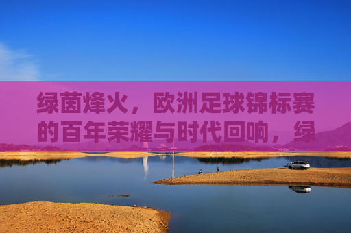 绿茵烽火,欧洲足球锦标赛的百年荣耀与时代回响,绿茵烽火,欧洲足球锦标赛的百年荣耀与时代回响