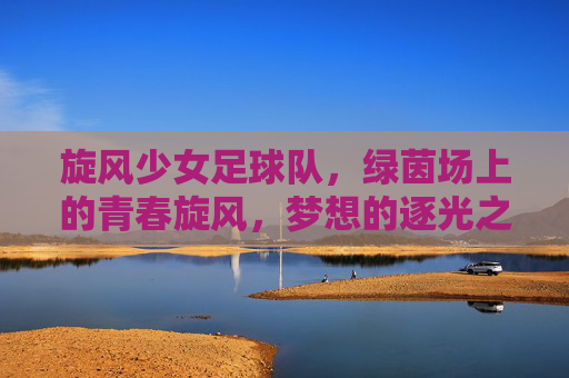 旋风少女足球队,绿茵场上的青春旋风,梦想的逐光之旅