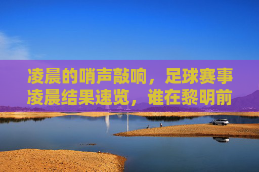 凌晨的哨声敲响,足球赛事凌晨结果速览,谁在黎明前加冕?