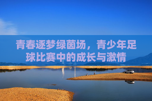 青春逐梦绿茵场，青少年足球比赛中的成长与激情