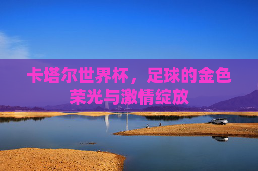 卡塔尔世界杯,足球的金色荣光与激情绽放