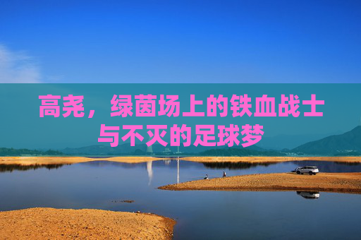 高尧,绿茵场上的铁血战士与不灭的足球梦