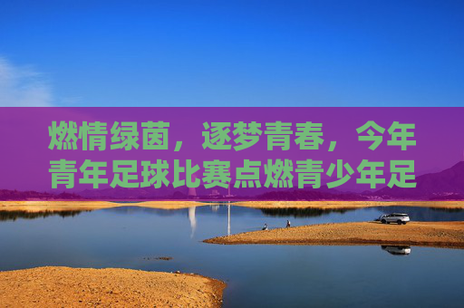 燃情绿茵，逐梦青春，今年青年足球比赛点燃青少年足球热情
