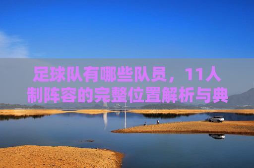足球队有哪些队员,11人制阵容的完整位置解析与典型代表