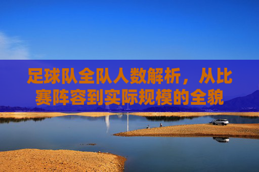 足球队全队人数解析,从比赛阵容到实际规模的全貌