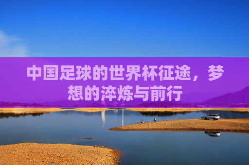 中国足球的世界杯征途,梦想的淬炼与前行