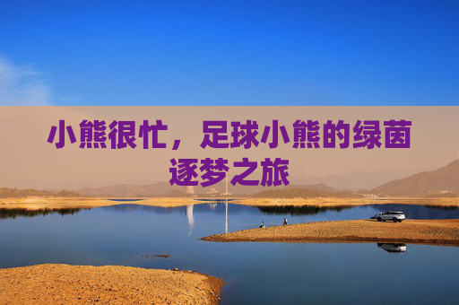 小熊很忙，足球小熊的绿茵逐梦之旅