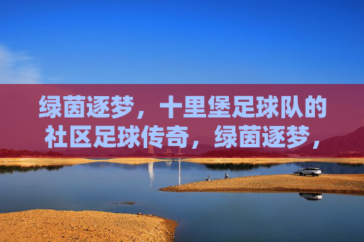 绿茵逐梦,十里堡足球队的社区足球传奇,绿茵逐梦,十里堡足球队的社区足球传奇