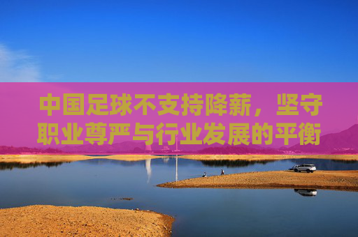 中国足球不支持降薪,坚守职业尊严与行业发展的平衡