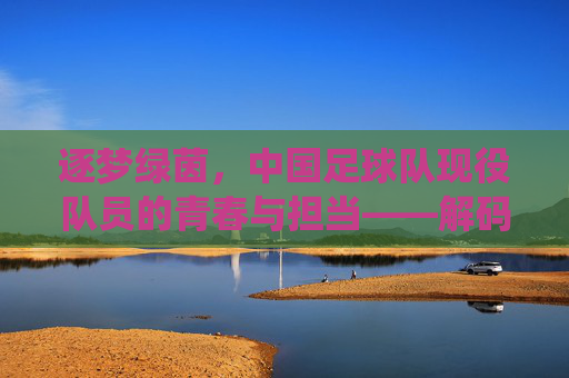 逐梦绿茵,中国足球队现役队员的青春与担当——解码中国足球新力量,逐梦绿茵,中国足球队现役队员的青春与担当——解码中国足球新力量