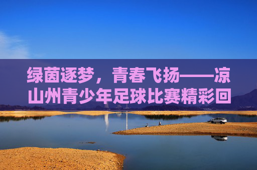 绿茵逐梦,青春飞扬——凉山州青少年足球比赛精彩回顾,绿茵逐梦,青春飞扬——凉山州青少年足球比赛精彩回顾