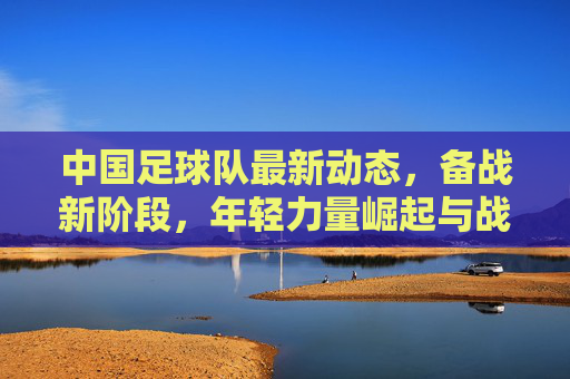 中国足球队最新动态,备战新阶段,年轻力量崛起与战术调整并行——近期消息汇总与分析