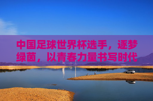 中国足球世界杯选手,逐梦绿茵,以青春力量书写时代答卷,中国足球世界杯选手,逐梦绿茵,以青春力量书写时代答卷