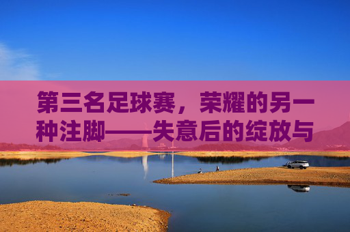 第三名足球赛，荣耀的另一种注脚——失意后的绽放与体育精神的永恒回响
