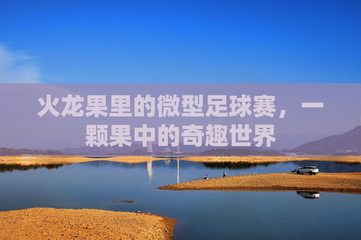 火龙果里的微型足球赛,一颗果中的奇趣世界