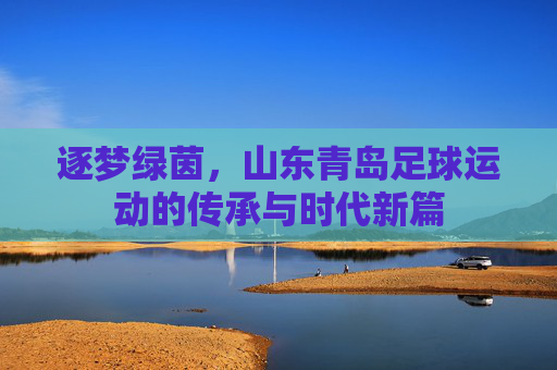 逐梦绿茵,山东青岛足球运动的传承与时代新篇