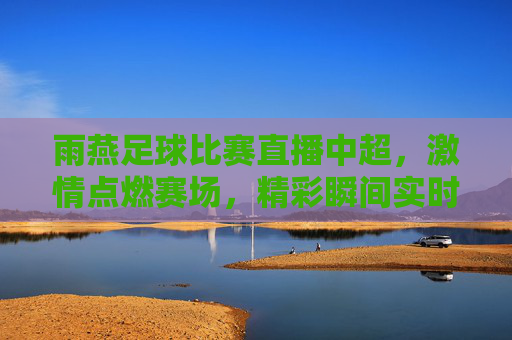 雨燕足球比赛直播中超，激情点燃赛场，精彩瞬间实时呈现，雨燕足球直播中超，激情点燃赛场，精彩瞬间实时呈现