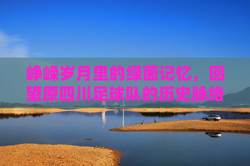 峥嵘岁月里的绿茵记忆,回望原四川足球队的历史脉络与精神传承,峥嵘岁月里的绿茵记忆,原四川足球队的历史脉络与精神传承