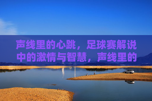 声线里的心跳，足球赛解说中的激情与智慧，声线里的心跳，足球赛解说中的激情与智慧