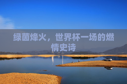绿茵烽火,世界杯一场的燃情史诗