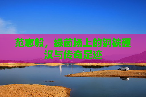 范志毅,绿茵场上的钢铁硬汉与传奇足迹