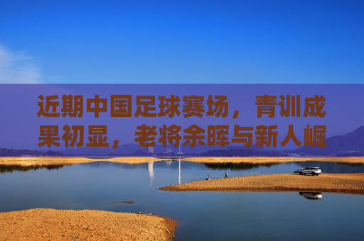 近期中国足球赛场,青训成果初显,老将余晖与新人崛起交织,挑战与希望并存
