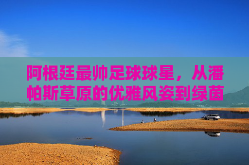 阿根廷最帅足球球星,从潘帕斯草原的优雅风姿到绿茵场的王者传奇——致敬梅西,那个让足球成为艺术的语言,阿根廷最帅足球巨星,从潘帕斯草原的优雅风姿到绿茵场的王者传奇——致敬让足球成为艺术语言的梅西