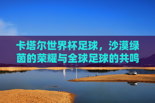卡塔尔世界杯足球,沙漠绿茵的荣耀与全球足球的共鸣