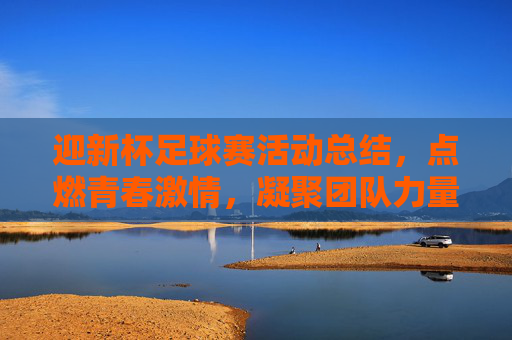 迎新杯足球赛活动总结,点燃青春激情,凝聚团队力量