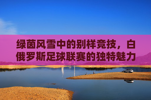 绿茵风雪中的别样竞技,白俄罗斯足球联赛的独特魅力与时代印记,绿茵风雪中的别样竞技,白俄罗斯足球联赛的独特魅力与时代印记