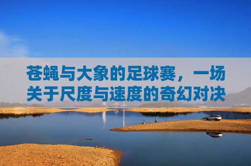 苍蝇与大象的足球赛，一场关于尺度与速度的奇幻对决