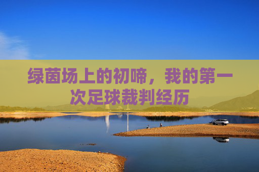 绿茵场上的初啼,我的第一次足球裁判经历