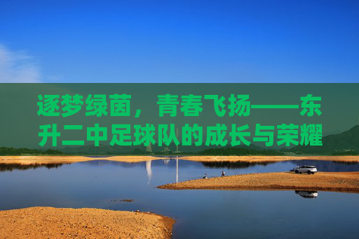 逐梦绿茵，青春飞扬——东升二中足球队的成长与荣耀