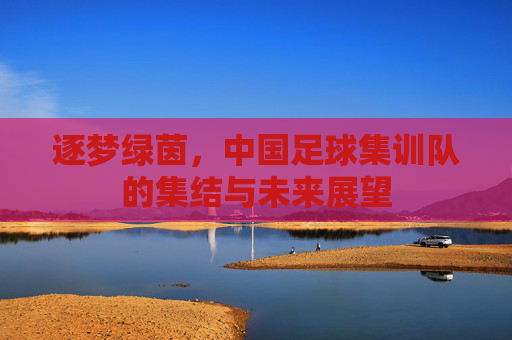 逐梦绿茵,中国足球集训队的集结与未来展望