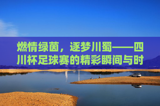 燃情绿茵,逐梦川蜀——四川杯足球赛的精彩瞬间与时代意义