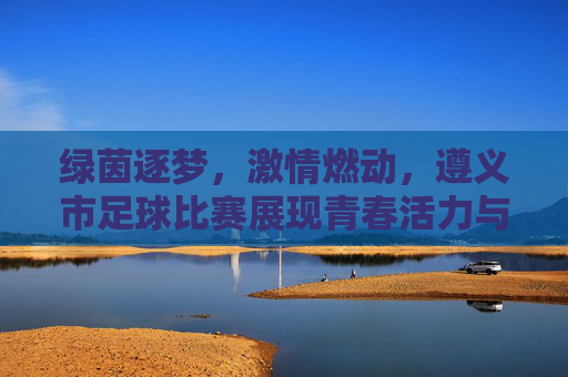 绿茵逐梦，激情燃动，遵义市足球比赛展现青春活力与竞技魅力，绿茵逐梦，激情燃动，遵义市足球比赛展现青春活力与竞技魅力