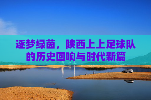 逐梦绿茵,陕西上上足球队的历史回响与时代新篇